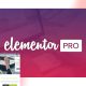 Elementor Pro 3.27.5 - Elementor Pro Wordpress Plugin